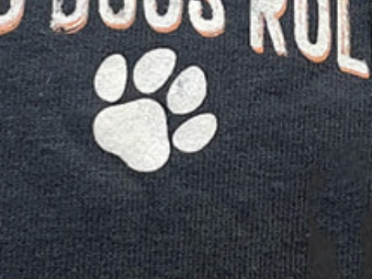 Old Dogs Rule