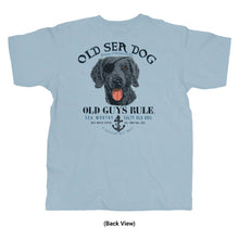 Ladda bild till Galleriet Old Sea Dog 